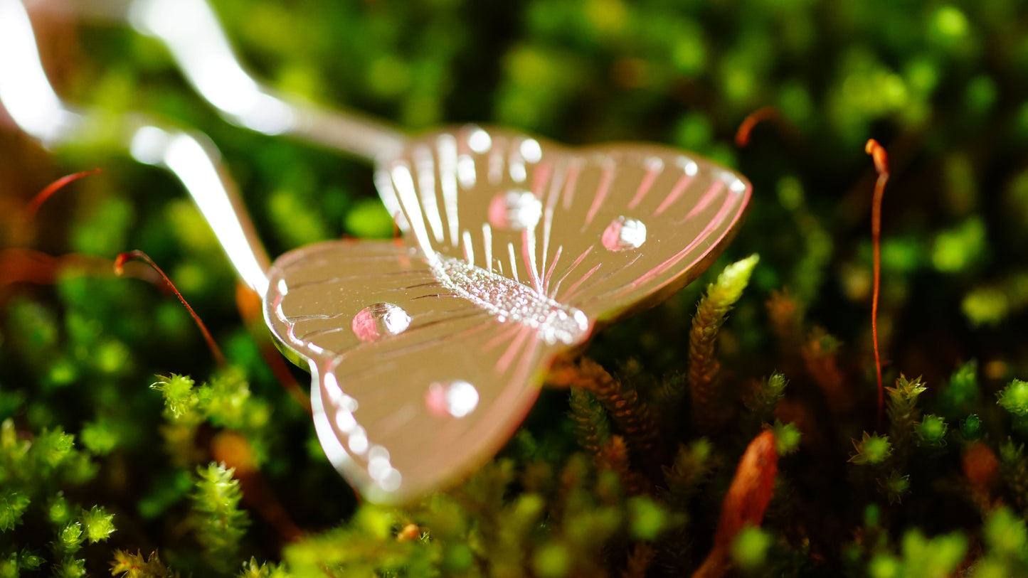 Horquillas para moños de Mariposas