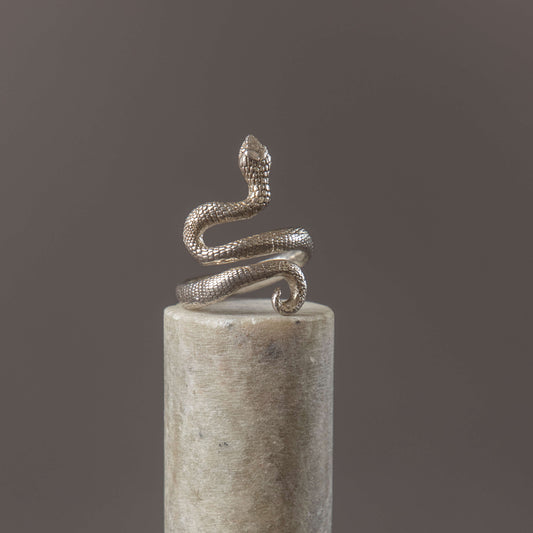 Anillo Serpiente
