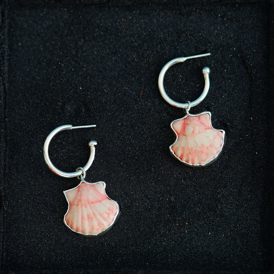 Aretes Conchas