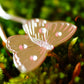 Horquillas para moños de Mariposas